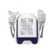 3P8A8891 Portable Cryolipolysis Machine With 4 Handles for Sale